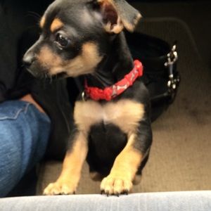 Meet your Posher, Johana